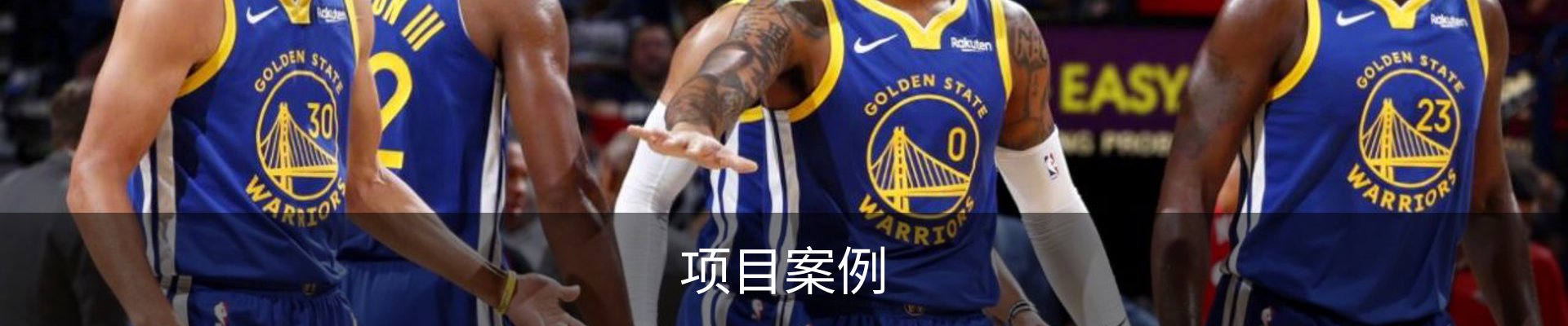 项目案例